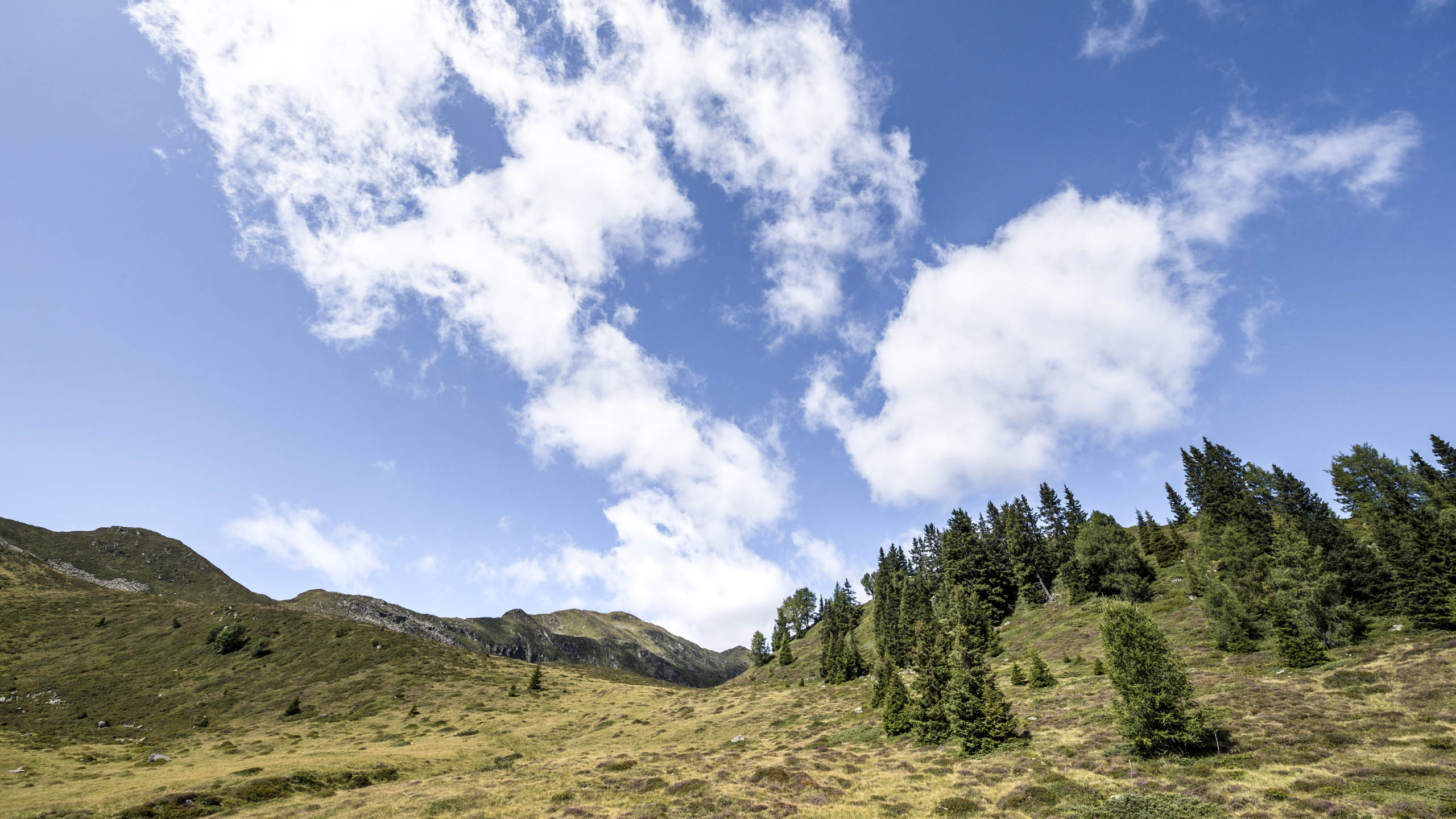 La cima Sasso di Mareta